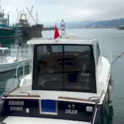 Cam Balkon Modelleri