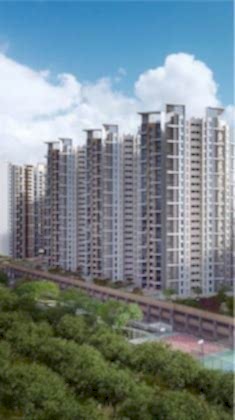 Tiara Twinmax 20172 Small